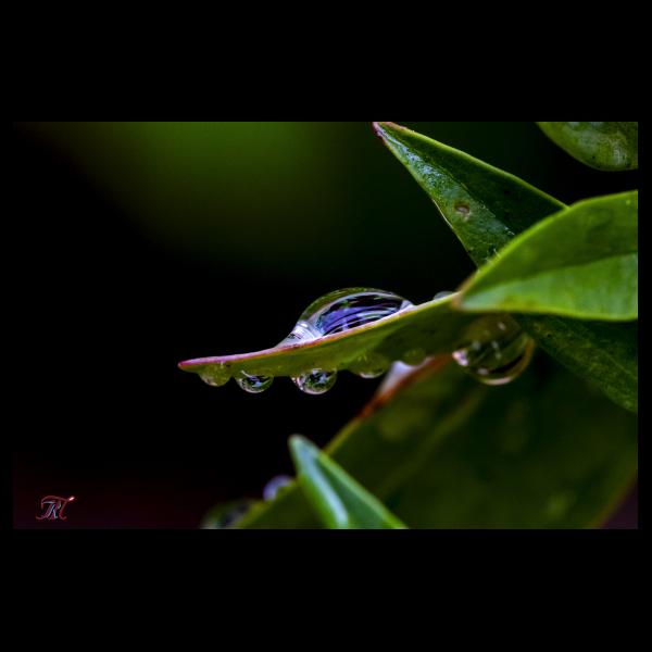 PHOTO84, CLUB, 84 , LUBERON